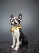 Hunden Dolph 4