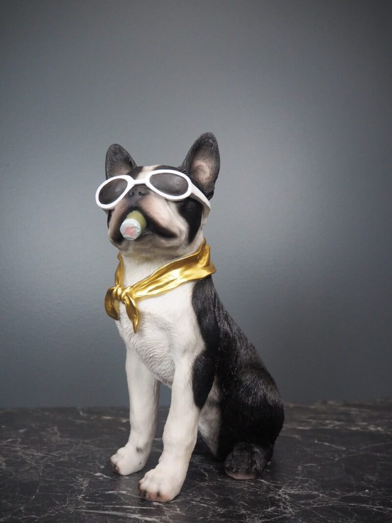 Hunden Dolph 4