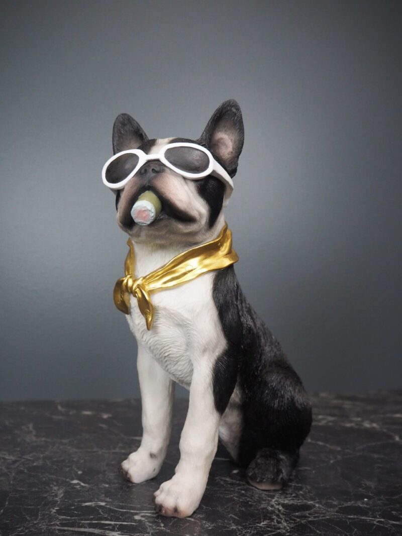 Hunden Dolph 1