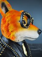 Folco the Fox 3
