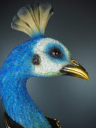 Pamina Peacock 3