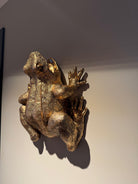 Frosken Fiona veggvase 3