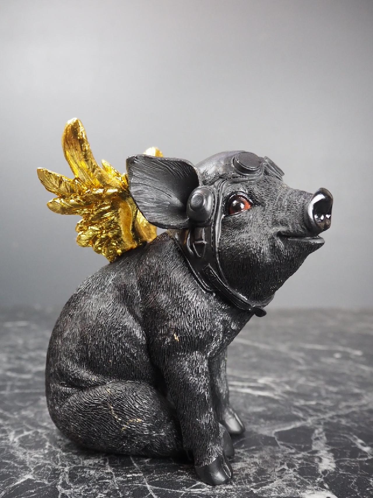Flying Pig 3