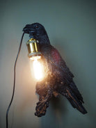 Kråke lampe  5