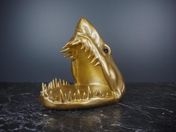 Shark head fat 4