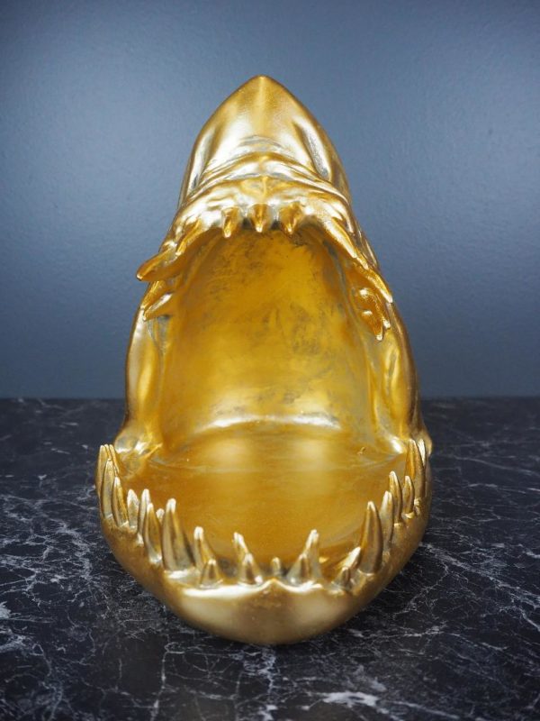Shark head fat 5