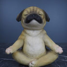 Yoga Puppy 1