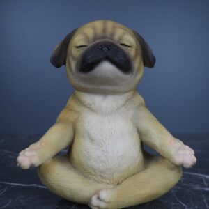Yoga Puppy 1