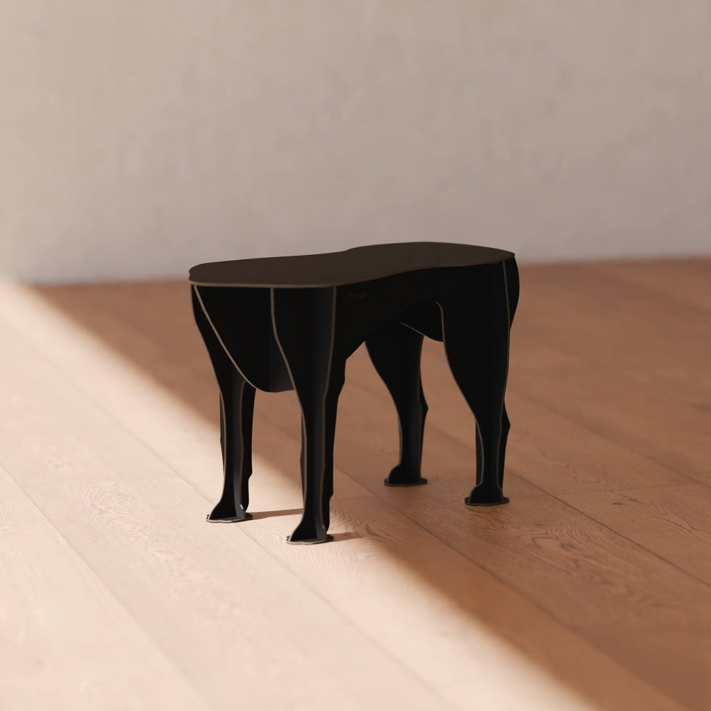 Sultan krakk i flere fargevarianter - Mobilier de Compagnie 2