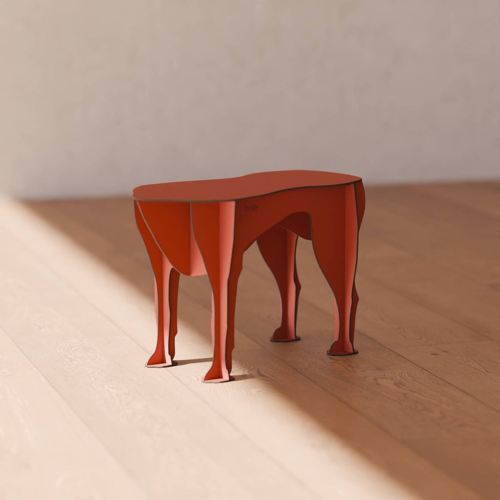 Sultan krakk i flere fargevarianter - Mobilier de Compagnie 6