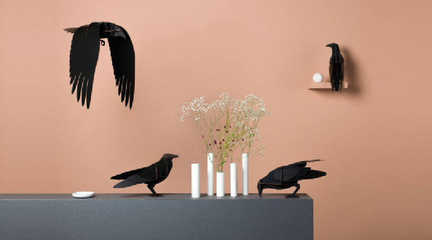 Ravens Adam - Mobilier de Compagnie 3
