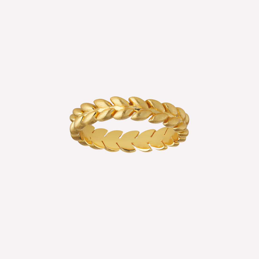 Season Ring GP 1