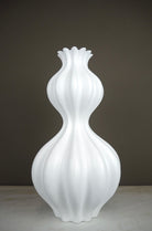  Vase  Curve  L Seklet 1