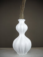  Vase  Curve  L Seklet 2